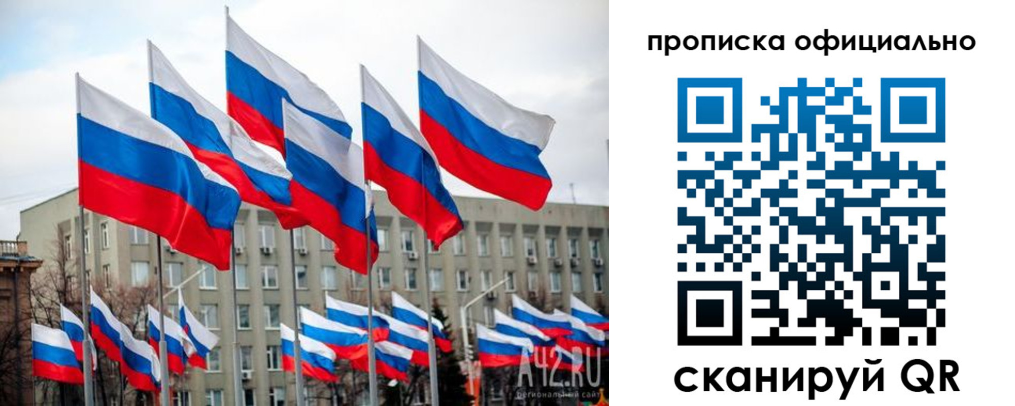 прописка поиск в Родниках
